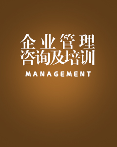 服務(wù)項(xiàng)目—管理咨詢(xún)